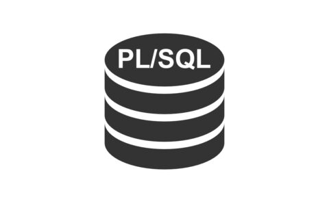 PL SQL